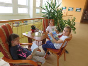IMG 6910