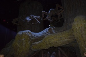 DSC 0854