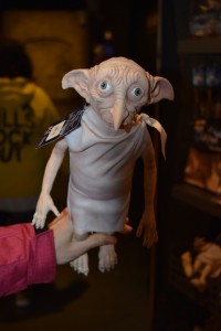 DSC 0857