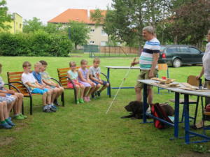 IMG 6964