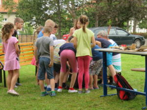 IMG 6965