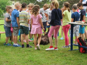 IMG 6966