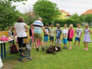 IMG 6967