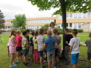 IMG 6968