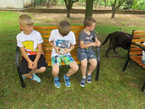 IMG 6996