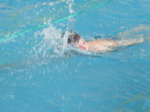 IMG 6566