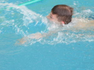 IMG 6567