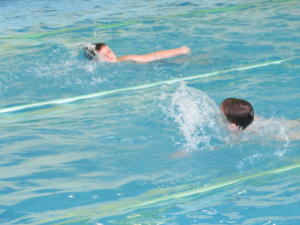 IMG 6568