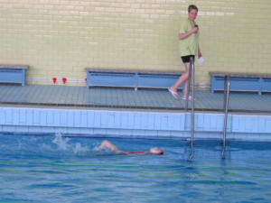 IMG 6582