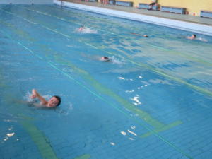 IMG 6593