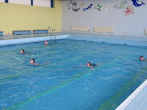 IMG 6598