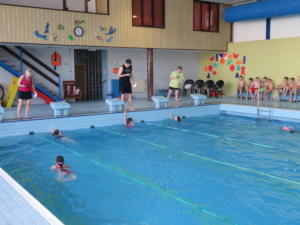 IMG 6599