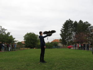 IMG 7505