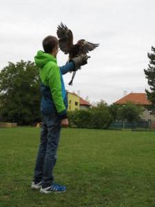 IMG 7508