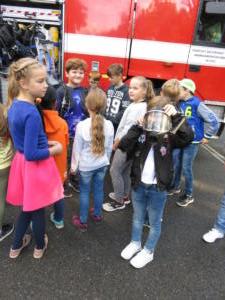 IMG 7331