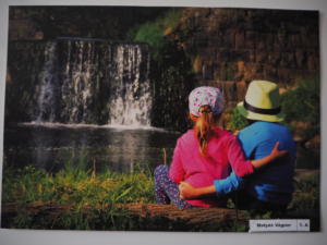 OLYMPUS DIGITAL CAMERA