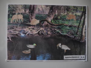 OLYMPUS DIGITAL CAMERA