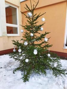 IMG 20211210 110311