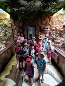 IMG 20220629 095030