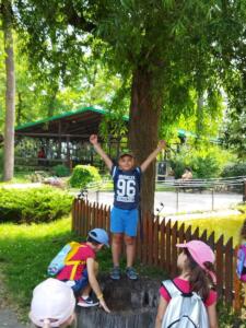 IMG 20220629 101752