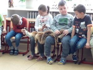 254739988 597373268171529 7562881625842262633 n