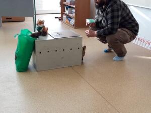 254758328 395938395560223 5480357276310149946 n