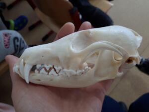 254916241 198517805796611 4086369966599585178 n