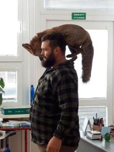 254936878 318275253067133 3978762689153427955 n