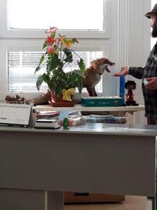 255029949 306412994645306 7597428498095039576 n