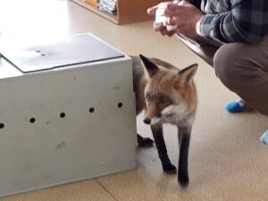 255053286 580003153253094 38272261949200802 n