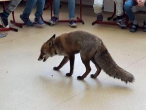 255460603 401485088289075 5146673118963378989 n