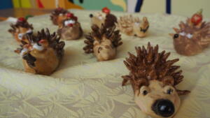 OLYMPUS DIGITAL CAMERA