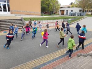 279034500 726624548505058 3189240276691640534 n