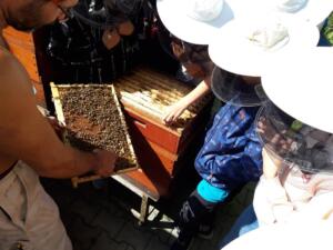 285057106 3189424111375128 7396541639497834641 n