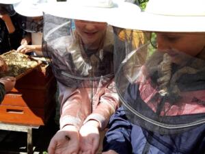 285178164 1397428260775500 8638058218825736814 n