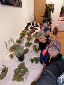 IMG 20220921 100328
