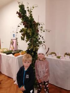 IMG 20220921 100350