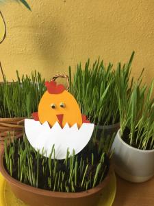 0781A914-F8E1-463F-8B72-56C1E7B29B11