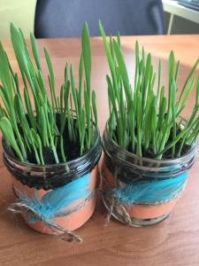 75B1AE3B-2222-4CCA-96ED-BEB04160A6BC