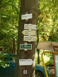 adaptak vresovice2017 028