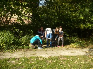 adaptak vresovice2017 046