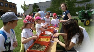 3. A a 2. B - Výlet Sonnentor